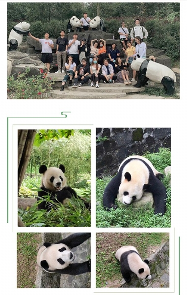 2f90338066335b38d50dd8ad7712916