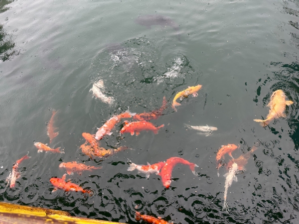 微信图片_20240520114016