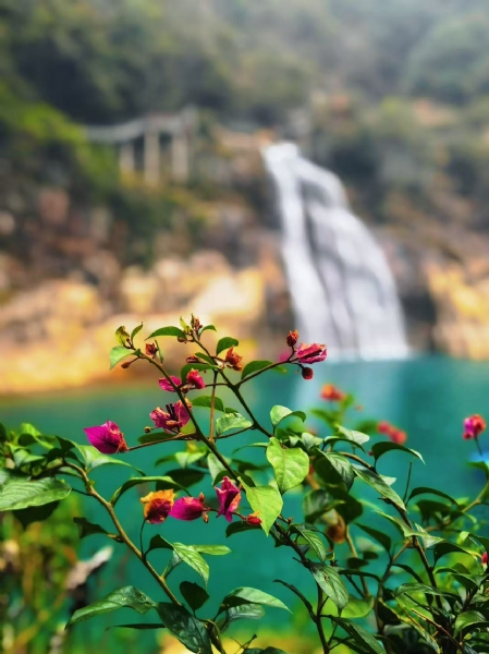 微信图片_20260208102346_871_97